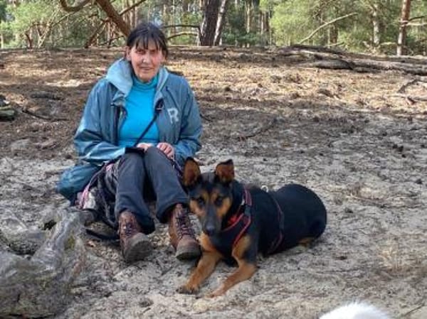 Hübsche, junge  Schäfi-Mix-Hündin