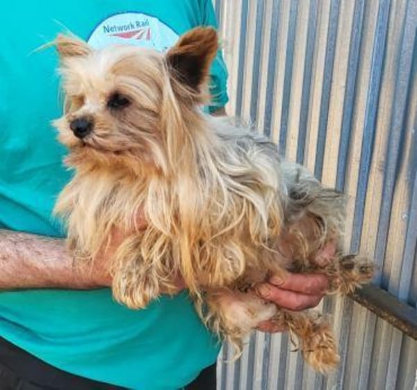 Robi in 60433 Frankfurt