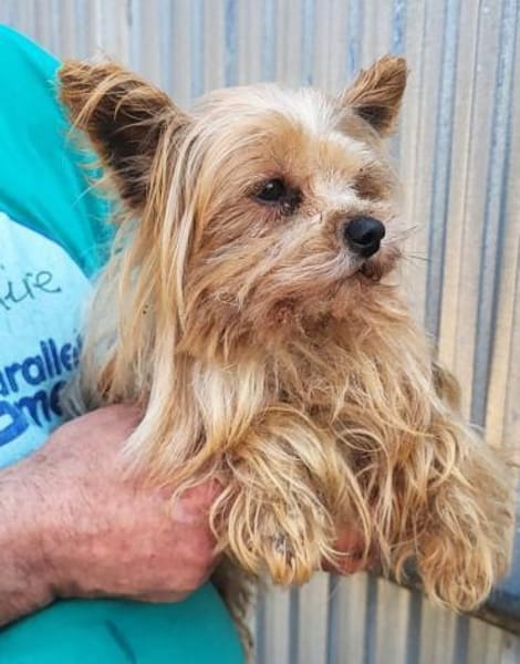 Robi in 60433 Frankfurt