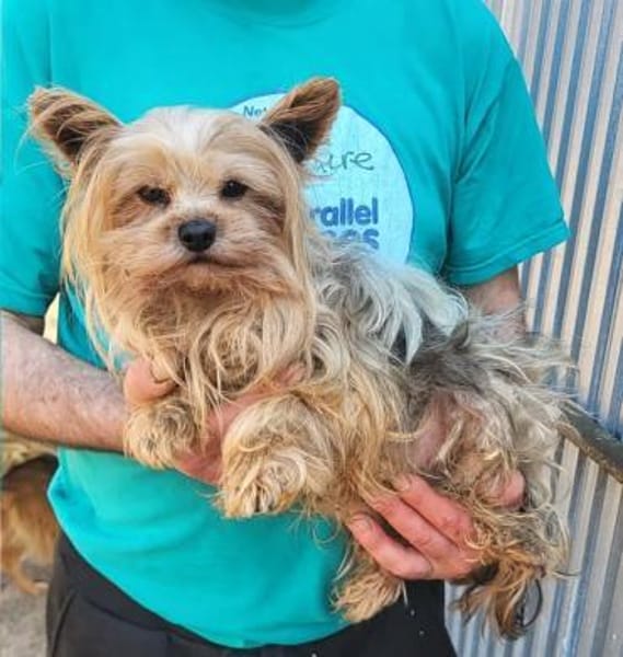 Robi in 60433 Frankfurt