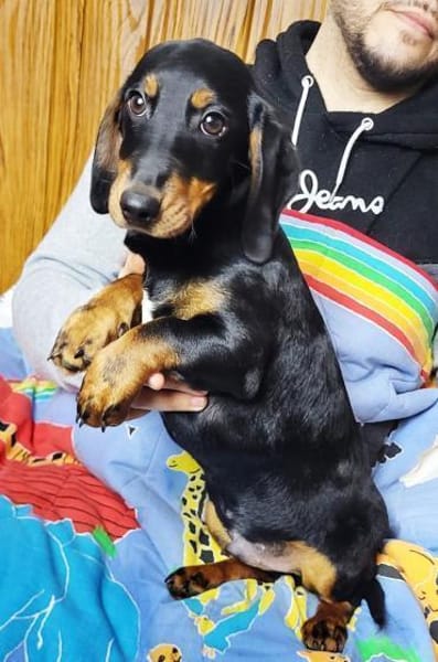 Carter° 77776 Bad Rippoldsau