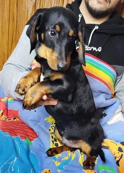 Carter° 77776 Bad Rippoldsau