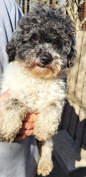 Riky in 77776  ++Anfragestopp++