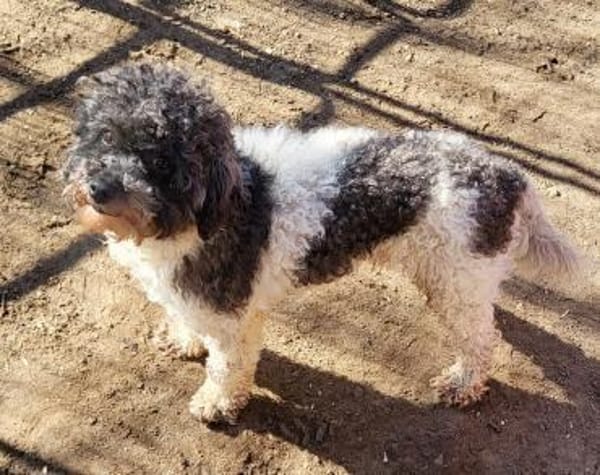 Riky in 77776  ++Anfragestopp++