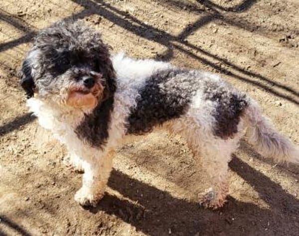 Riky in 77776  ++Anfragestopp++