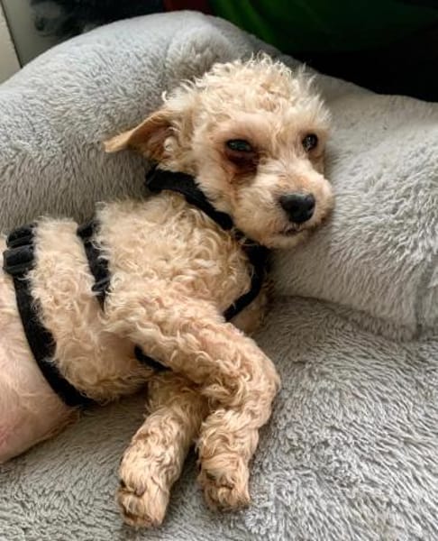 Rumli  in 72664 Kohlberg