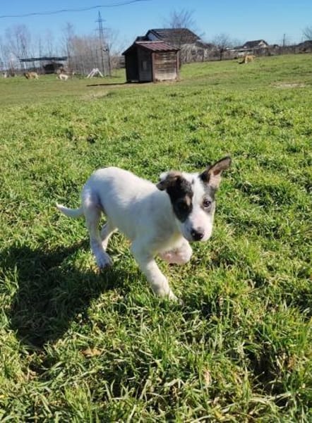 HOPE träumt von einem eigenen Zuhause!