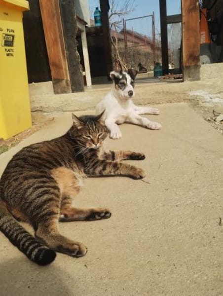 HOPE träumt von einem eigenen Zuhause!