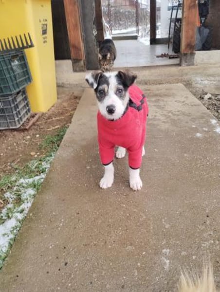 HOPE träumt von einem eigenen Zuhause!