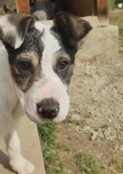 HOPE träumt von einem eigenen Zuhause!