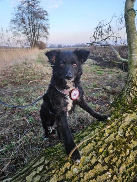 💕Mara💕 sucht ihre Menschen 💕🐾💕