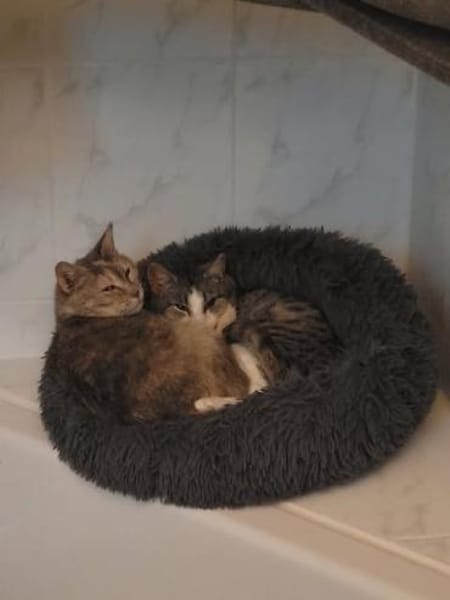 Süße Bura gemeinsam mit Pigi