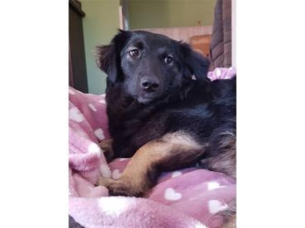 Ella wartet in 22949 Ammersbek