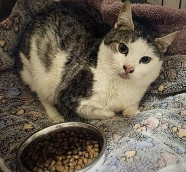 Freundlicher Tom - sehr dringend!