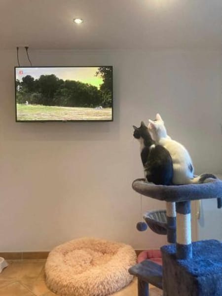 Penny und Pepe gemeinsam