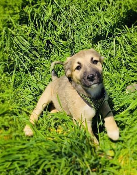 Heidi außergewöhnlich lieb