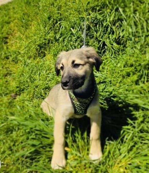 Heidi außergewöhnlich lieb