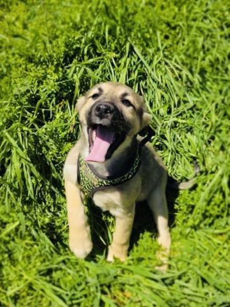 Heidi außergewöhnlich lieb