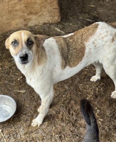 Malibu ist ein zartes Seelchen 🐾