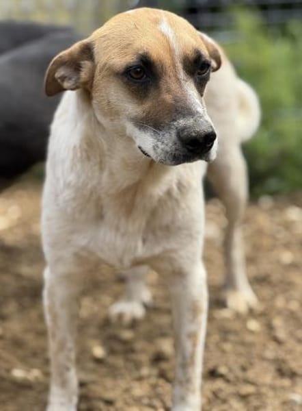 Malibu ist ein zartes Seelchen 🐾