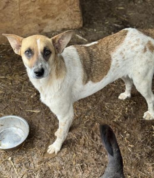 Malibu ist ein zartes Seelchen 🐾