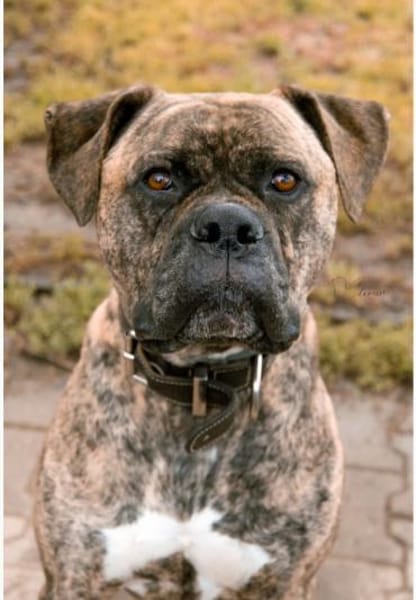 Leo möchte endlich ankommen