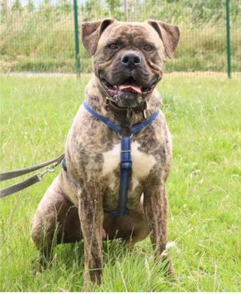 Leo möchte endlich ankommen