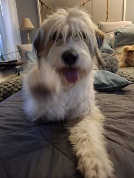 Zutrauliche NASI sucht Dringend ‼🆘‼