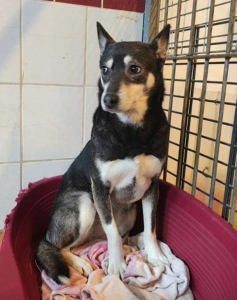 Ella & Enya  Ein unzertrennliches Duo