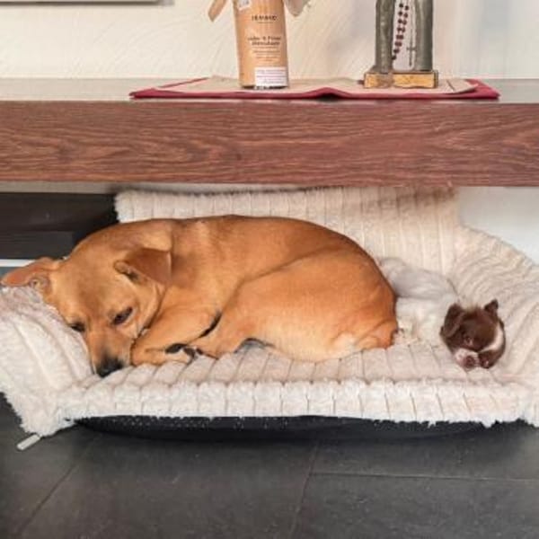 DANNY - ein Juwel zum Verlieben!