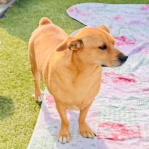 DANNY - ein Juwel zum Verlieben!