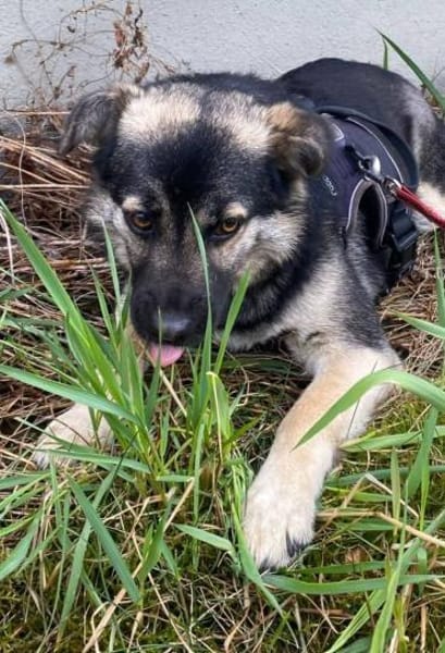 SUGAR - süß wie Zucker