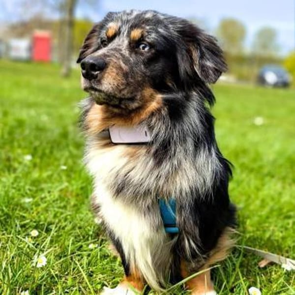 Bilbo - ist offen&verschmust