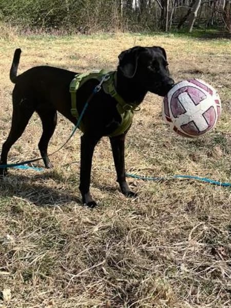 Juni - lebensfroh&aktiv