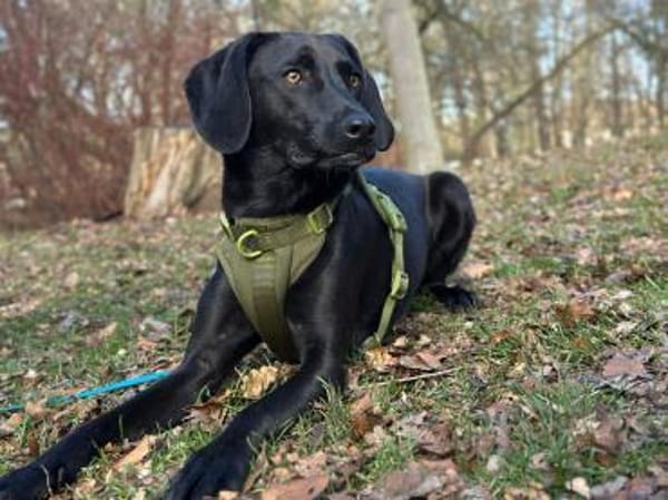 Juni - lebensfroh&aktiv