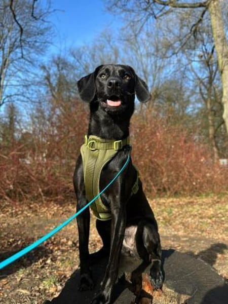 Juni - lebensfroh&aktiv