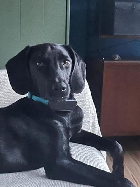 Juni - lebensfroh&aktiv