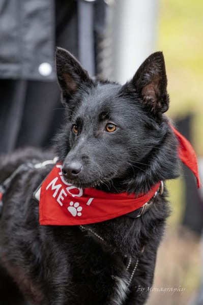 Schönheit Emma in 45138 Essen