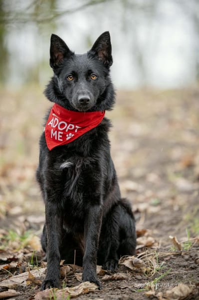 Schönheit Emma in 45138 Essen