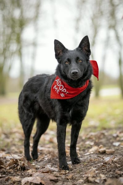 Schönheit Emma in 45138 Essen