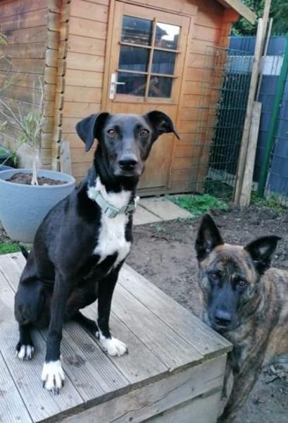 Vespa - Zuhause gesucht