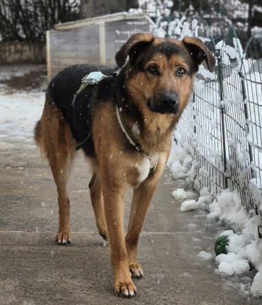 Torin 💙💙💙 bildhübscher Bub