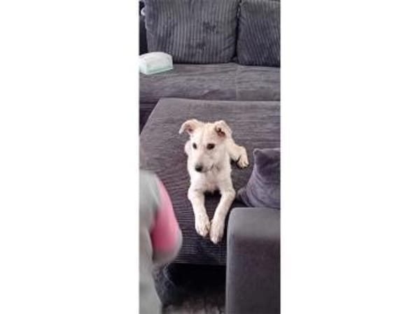 Kellogs - wartet in 92334 Berching