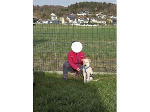 Kellogs - wartet in 92334 Berching