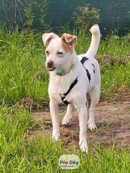 Mary-Lou auf Pflegestelle