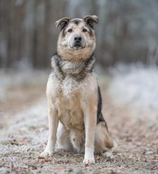 Janno - Menschen mit Erfahrung gesucht