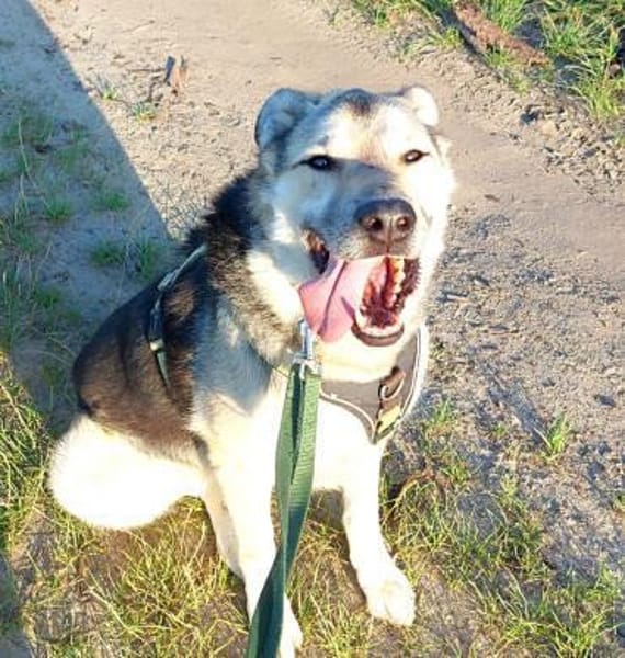 Janno - Menschen mit Erfahrung gesucht