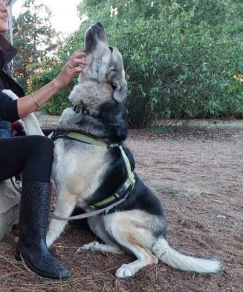 Janno - Menschen mit Erfahrung gesucht