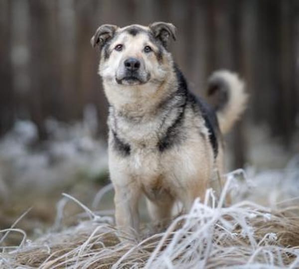 Janno - Menschen mit Erfahrung gesucht