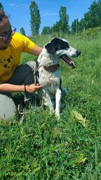 REZ 💙💙💙 ruhig und ausgeglichen